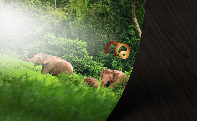 Thai Airways, Thai Smile